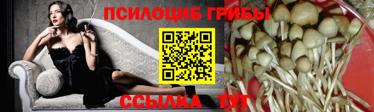 Псилоцибиновые грибы GOLDEN TEACHER Воткинск